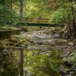 Lubber Run Park, Arlington Virginia